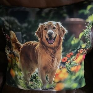 Golden Retriever Dog Pillow